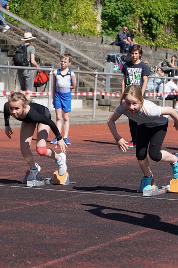 TSF Turnen Korb 2025